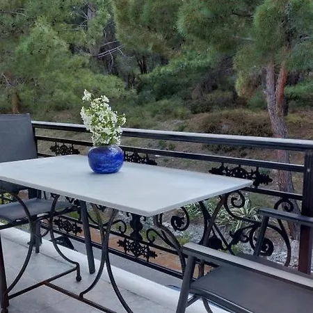 Evaggelia'S Seaside Boutique Apartment Ireo  Esterno foto