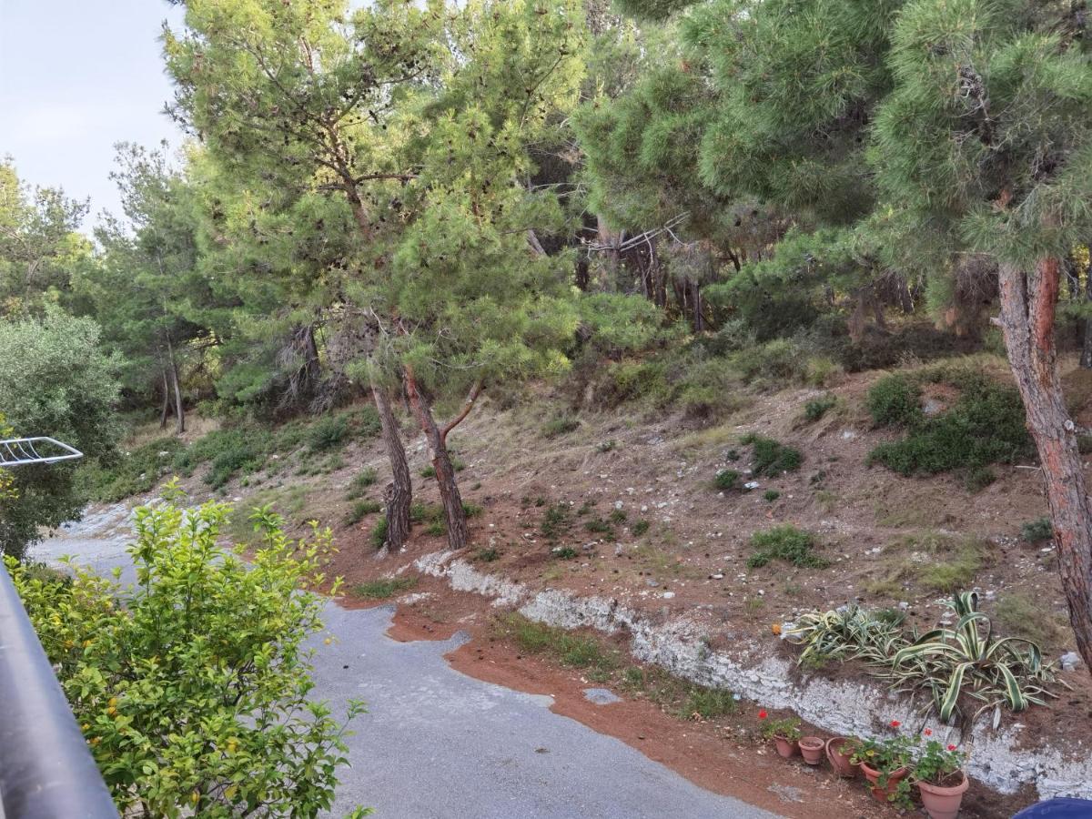Evaggelia's Seaside Boutique Ireo (Samos)